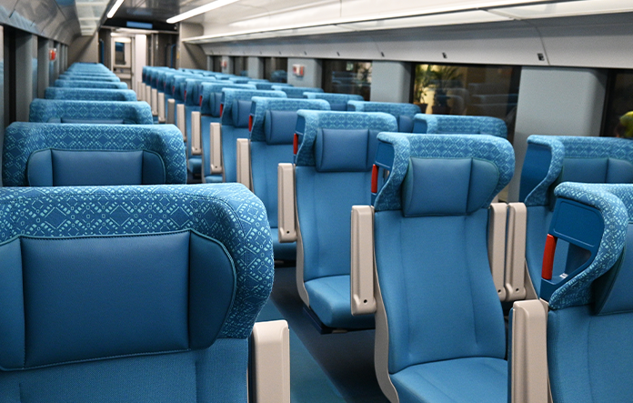 Pérdidas del Tren Maya