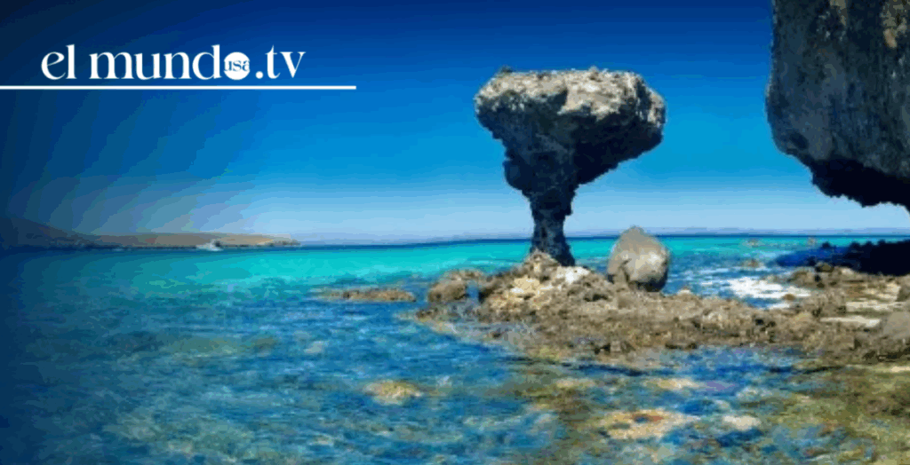 Baja California Sur 2026