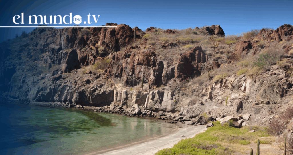 Baja California Sur 2026