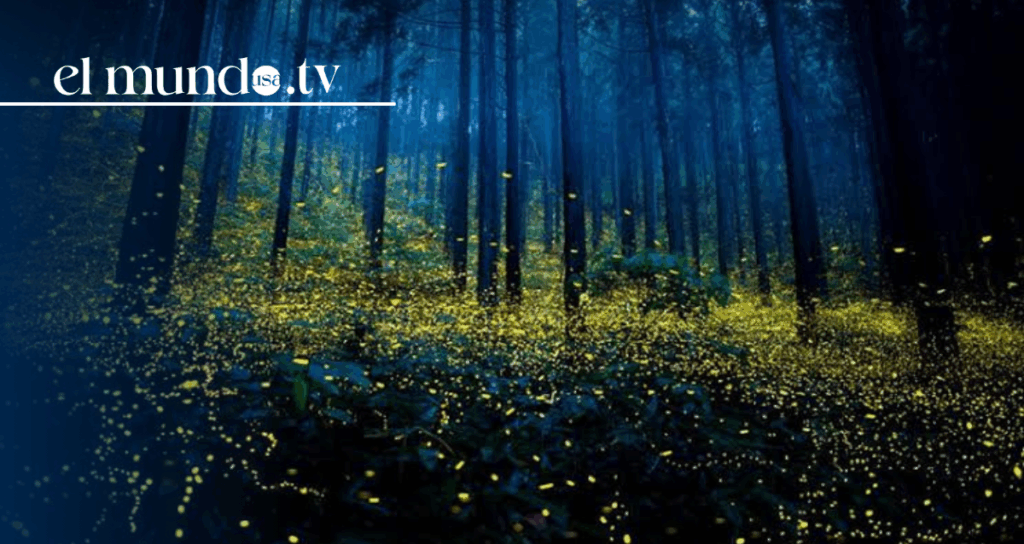 What to do and visit in Tlaxcala, Mexico, in 2026?