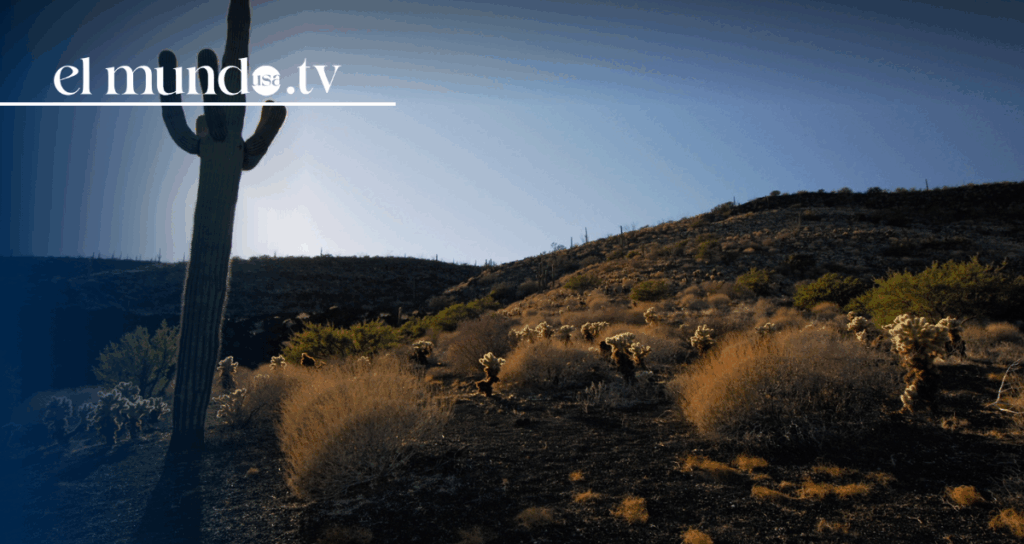 What to do and visit in Sonora, Mexico, during your vacation 2026?