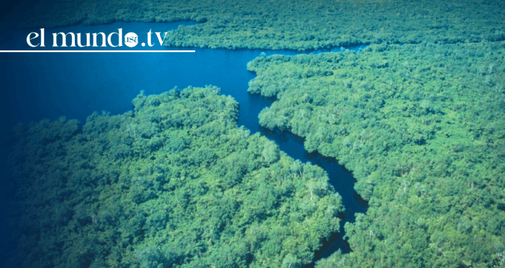 What to do in Tabasco: "The Eden" you must visit in Mexico this 2026