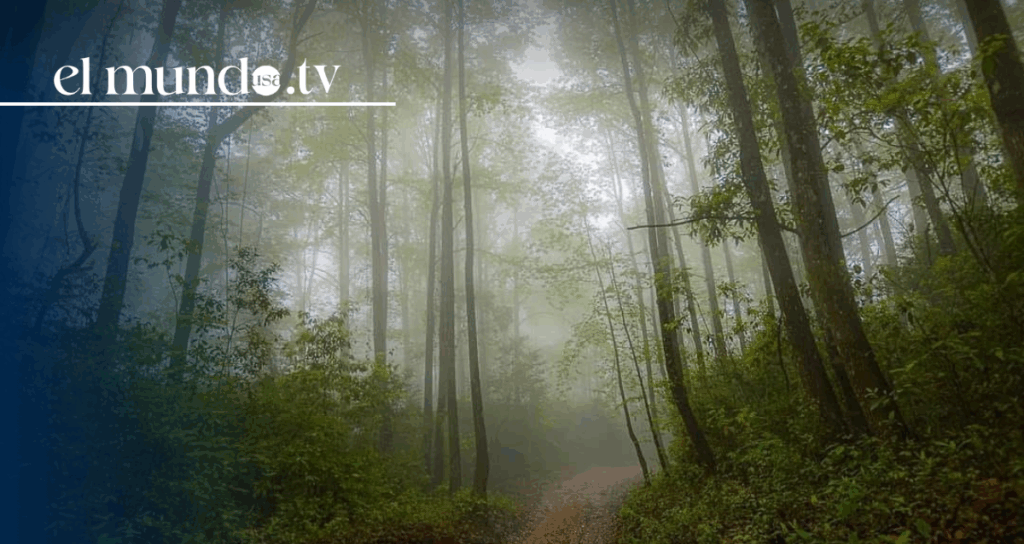 What to do and visit in Tamaulipas, Mexico, in 2026?