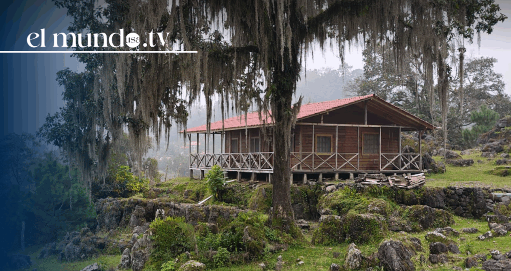 What to do and visit in Tamaulipas, Mexico, in 2026?