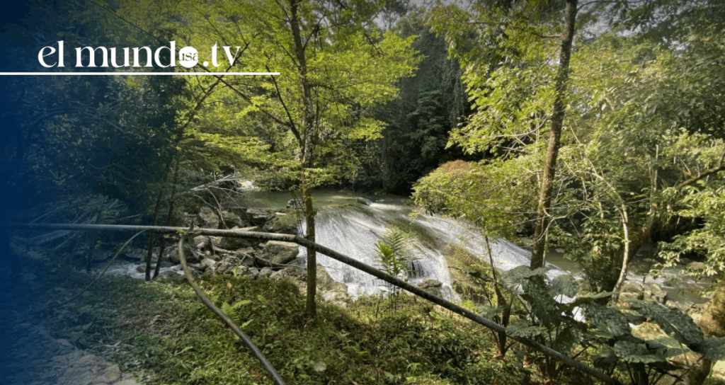 What to do in Tabasco: "The Eden" you must visit in Mexico this 2026