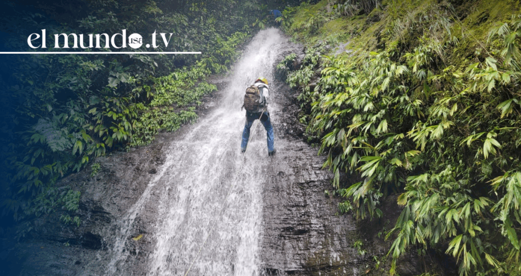 What to do in Tabasco: "The Eden" you must visit in Mexico this 2026