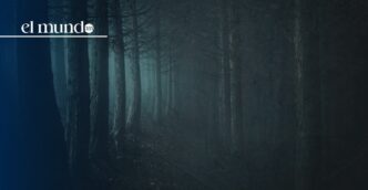 Peña de Lobos: El Bosque más terrorífico de México en CDMX