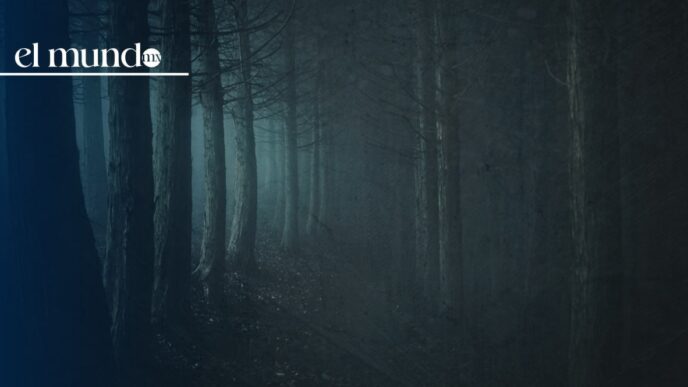 Peña de Lobos: El Bosque más terrorífico de México en CDMX