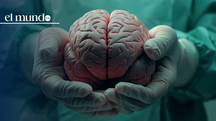 Día Mundial de la Meningitis, enfermedad silenciosa que priva de la vida a 250 mil personas al año