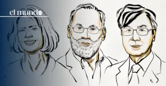 ¿Por qué ganaron el Nobel de Medicina 2025?