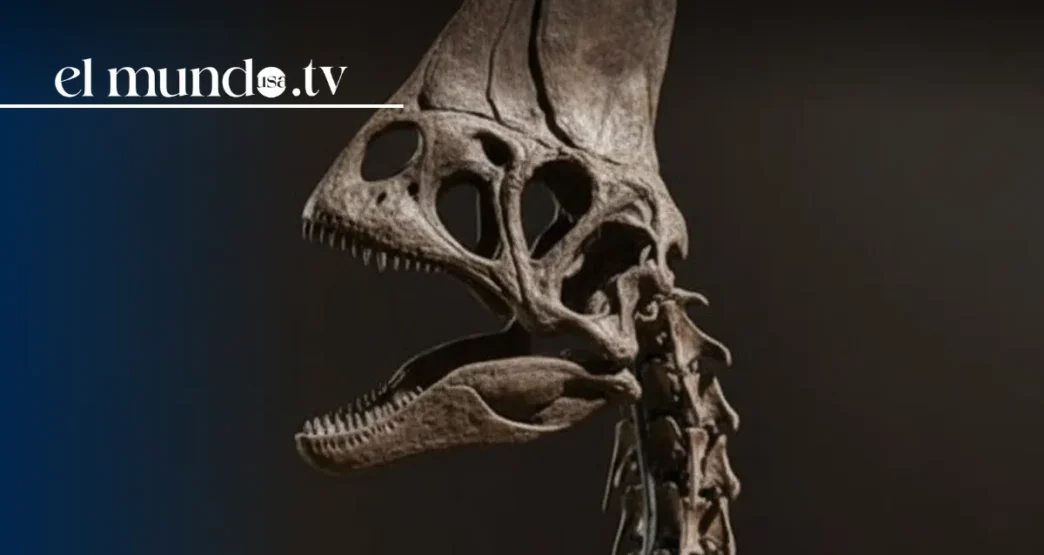 Christie's auctions dinosaur Spike for Millions of Pounds