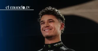 Lando Norris earnings