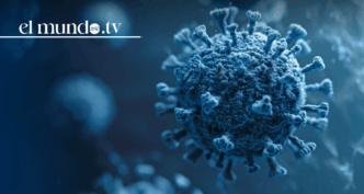 Highly contagious virus identified at major U.S. airports