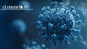 Highly contagious virus identified at major U.S. airports