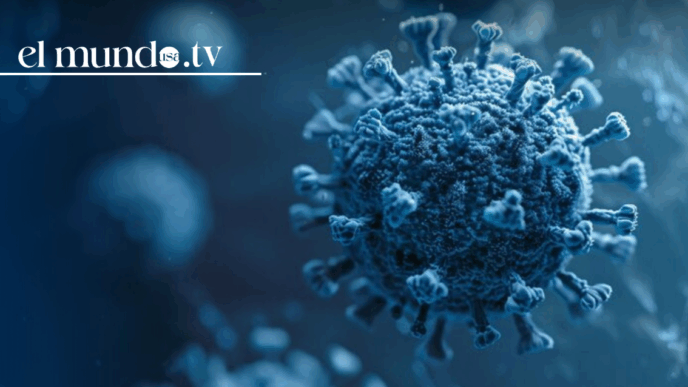 Highly contagious virus identified at major U.S. airports