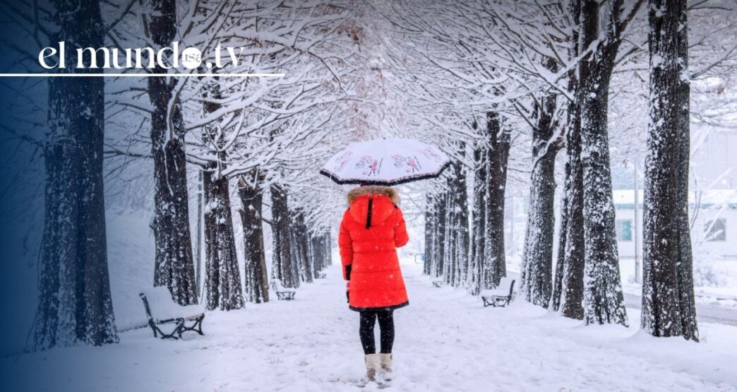 Winter storm causes 21 deaths and leaves millions without power in the United States