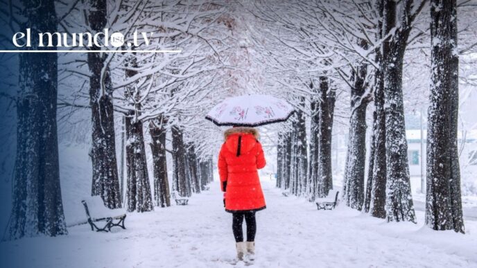 Winter storm causes 21 deaths and leaves millions without power in the United States