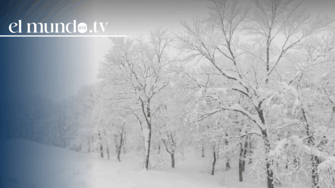 Philadelphia winterstorm