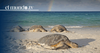 Sinaloa, where beaches, music, and parties come together in Mexico