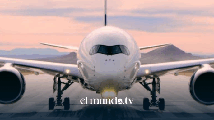 Delta Air Lines suspends VIP services aimed at members of the US Congress