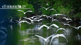 Tabasco: "The Eden" you must visit in Mexico this 2026