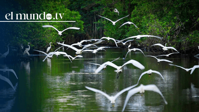 Tabasco: "The Eden" you must visit in Mexico this 2026