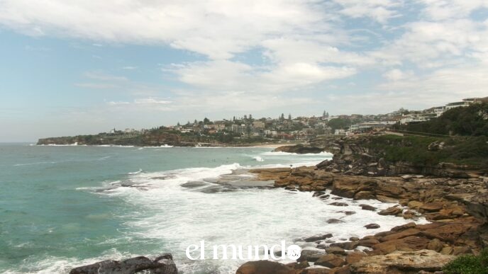 Sydney Tourism: Key Attractions and Experiences in the City