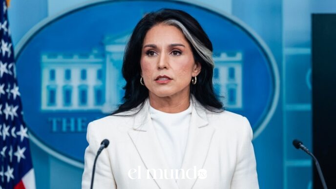Tulsi Gabbard Steps Down as Director of National Intelligence Citing Husband's Cancer Diagnosis