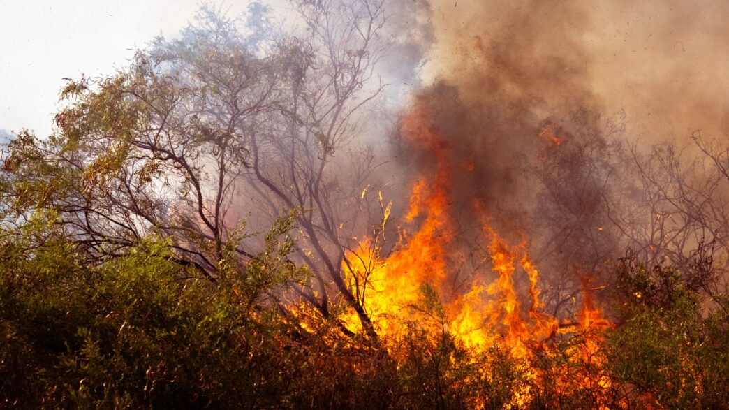Federal Judge Declares Mistrial in Palisades Fire Arson Case After Jury Deadlock