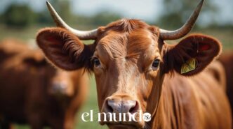 Screwworm Alert: Texas Livestock Trade at Risk