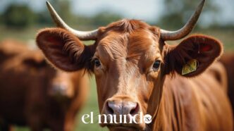 Screwworm Alert: Texas Livestock Trade at Risk